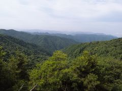 -关山草原