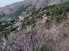 -香山公园