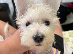 -宠瑞康动物医院