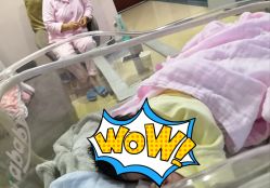 -复旦大学附属妇产科医院(杨浦院区)