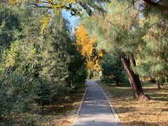 -国家植物园南园