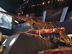 -贝林大翅鲸简餐厅(国家海洋博物馆店)