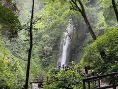 -莫里热带雨林景区