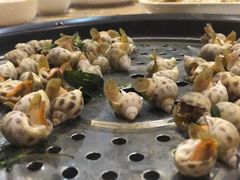 花螺-海大大蒸汽海鲜餐厅·粤菜·特色小炒(欢乐颂店)