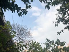 -好吃狗凉糕总店