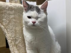 -1013 PET SHOP 宠物商店(近铁城市广场店)