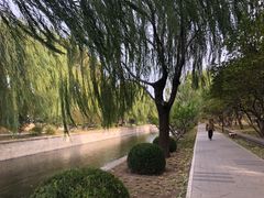 -元大都城垣遗址公园