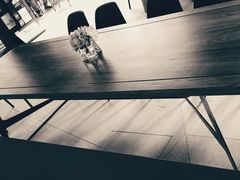 -VESH COFFEE(定西路店)