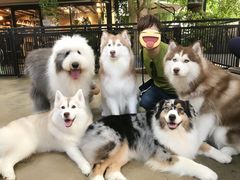 -TrueLove @ Neverland (Husky Cafe)