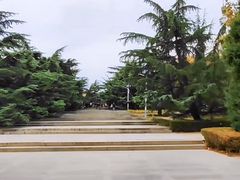 -大连中山公园