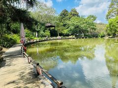 -白马涧龙池景区
