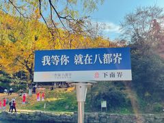 -莫干山风景区