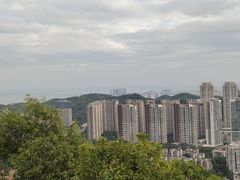 -板樟山森林公园