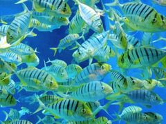 -成都浩海立方海洋公园