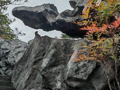 -千岛湖石林