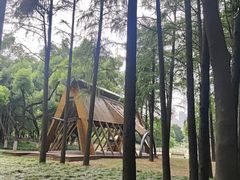 -月湖风景区