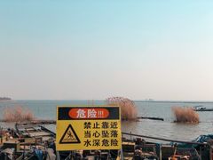 -贡湖湾湿地公园