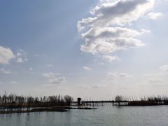 -太湖湖滨国家湿地公园-停车场