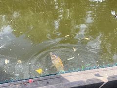 -酷鱼垂钓CLUB(朝阳区博大路店 )