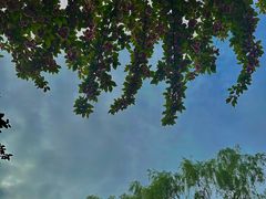 -唐城墙遗址公园