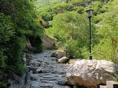 -辛安庄鸡鸣山景区