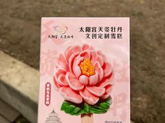 -太阳宫公园
