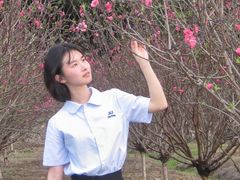 -南国桃园旅游度假区