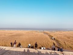 景点-南汇嘴观海公园