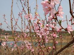 -北京金海湖景区