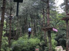 -梦幻奥陶纪景区