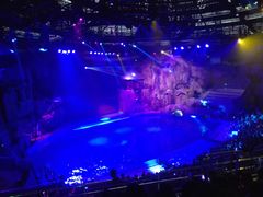 -芜湖新华联大白鲸海洋公园