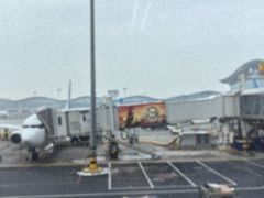 -乌鲁木齐天山国际机场-T3航站楼