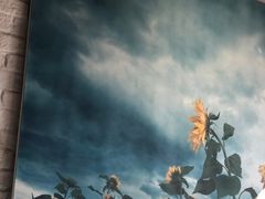 -Tian品