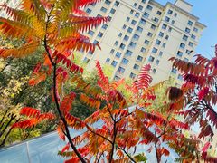 -松浦·观江国际