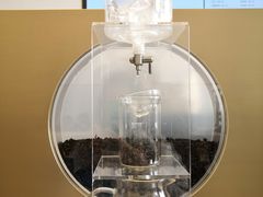 -喜茶(永旺梦乐城店)