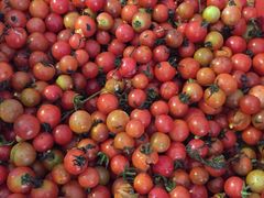 -古城苗家土菜馆(河景餐厅店)