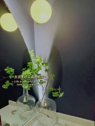 -Lily纤美·科技减脂中心