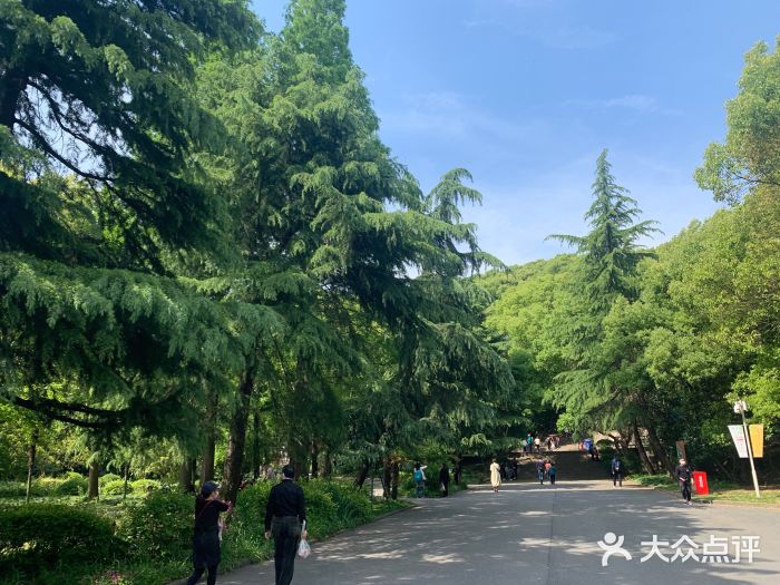 佘山國家森林公園圖片