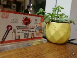 -和良形象