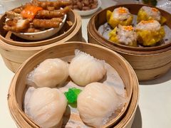 -百乐潮州酒家(时代广场店)