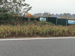 -洋湖国家湿地公园