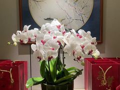 -顺峰(农展馆店)