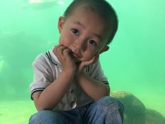 -广东惠东海龟国家级自然保护区