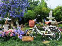 -HERRE·FARM 赫尔露营农场·团建聚会包场