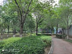 -庄怡公园