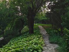 -元大都城垣遗址公园