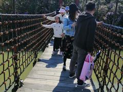 -吴淞炮台湾湿地森林公园烧烤区