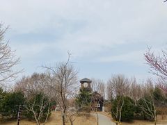 -永定河休闲森林公园