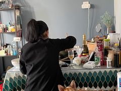 -多乐狗狗宠物训练工作室