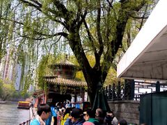-皇家御河游(紫御湾码头)